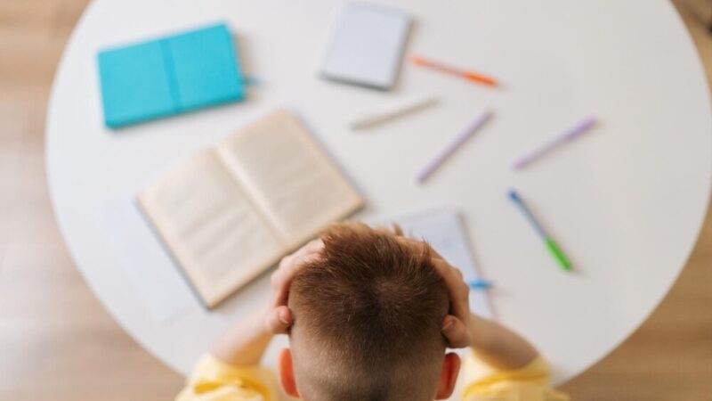 Miasteczko Ruchu Drogowego znów otwarte dla młodych kierowców